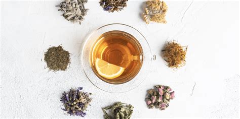 The Charms of Green Tea: a Journey through the Magical Tea Emporium